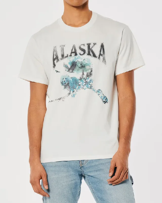 Hollister T shirt