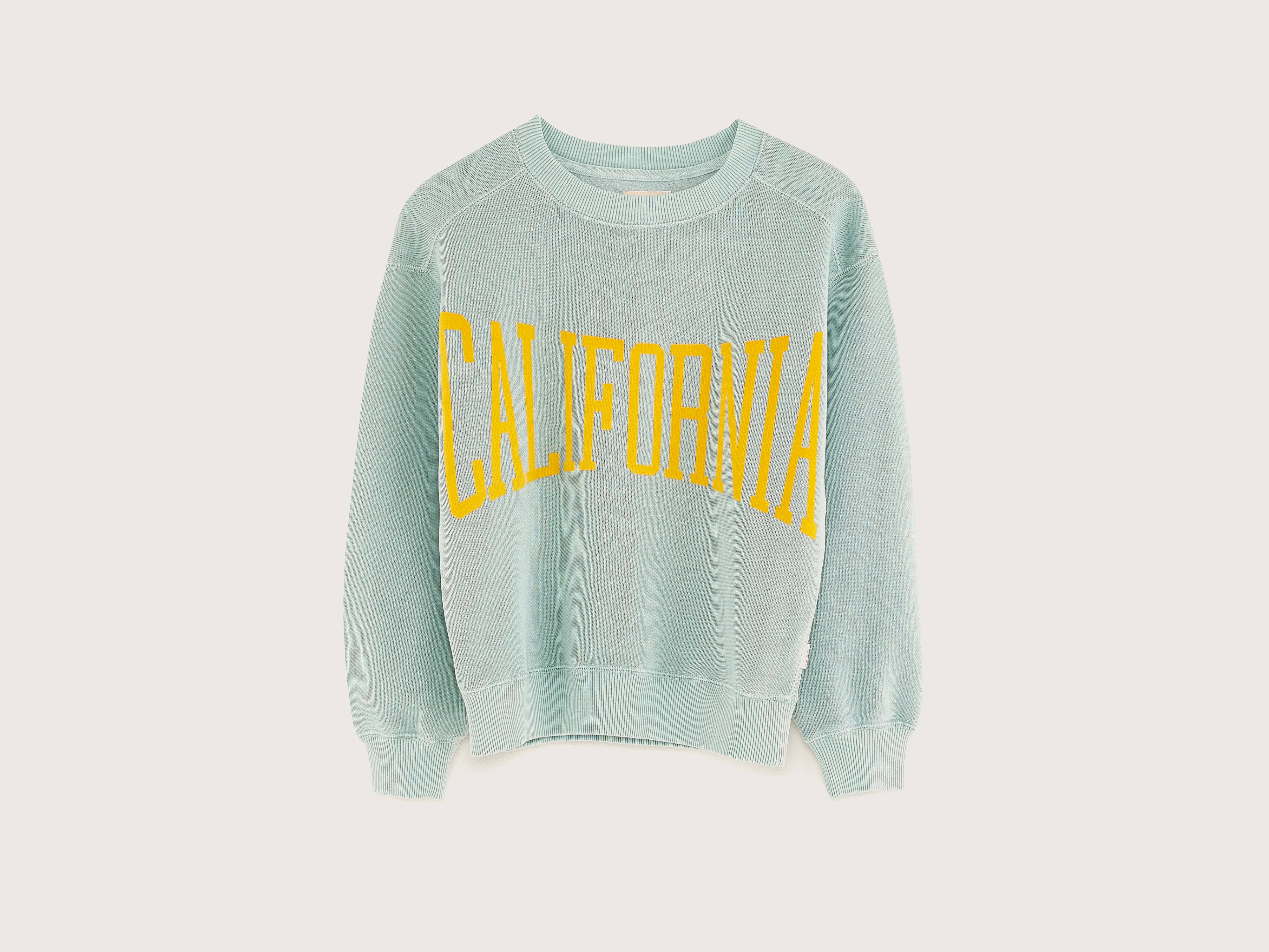 Hooded design Fadol crewneck sweatshirt (251 / G / REEF WATERS)